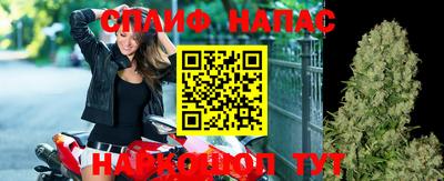 прущие грибы Татарск