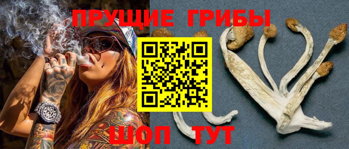 Галлюциногенные грибы MAGIC MUSHROOMS Сафоново