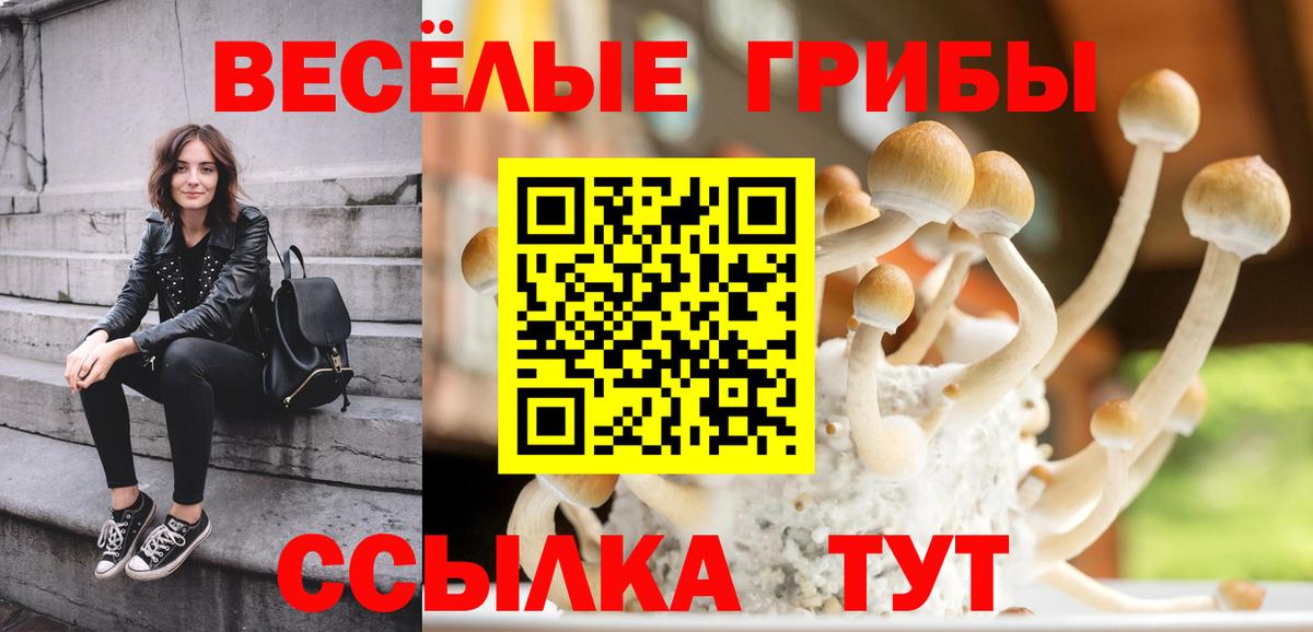Псилоцибиновые грибы мухоморы  Вход с VPN  Сафоново 